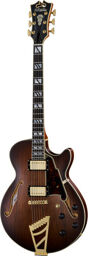 Deluxe SS Satin Brown Burst