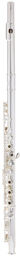 JFL700REC-CBox Flute