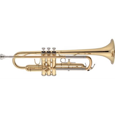 JTR500Q - Sib Vernie - Etude