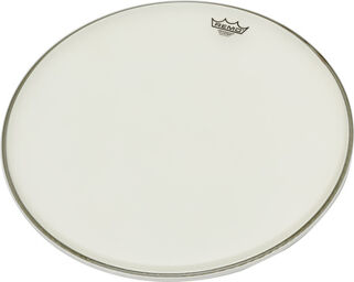 20 Renaissance Ambassador Bass