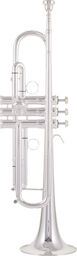 Topline Bb-Trumpet Brass S