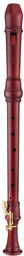 4429 Rottenburgh Tenor