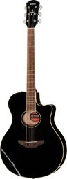 APX 600 Black Noir