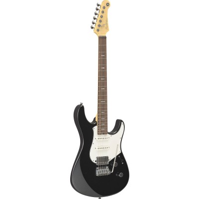 Pacifica Professional Pacp12-Bm Rw Black Metallic
