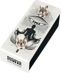 Anima Dual Footswitch