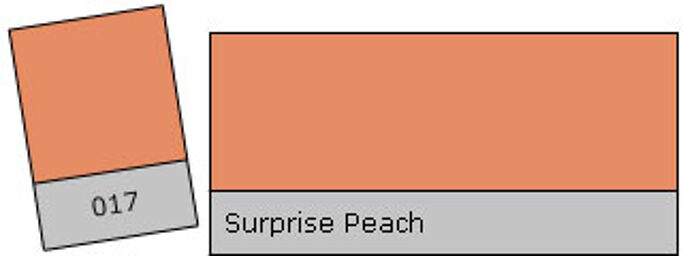 Filter Roll 017 Surprise Peach