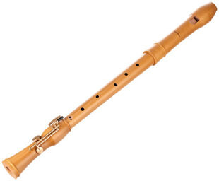 2446 Canta Tenor Recorder
