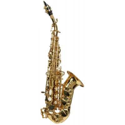 WSSC300 - Soprano Courbe Si b Verni