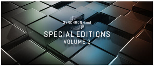 Synchron-ized SE Volume 2