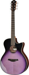 Spectra Pl Gc-ER a PVT SPE w/G Provence Violet