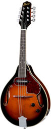 M510E-BS Brown Sunburst