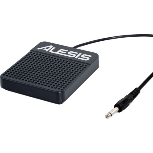 ASP-1 Pedale Sustain Pour Clavier ASP-1