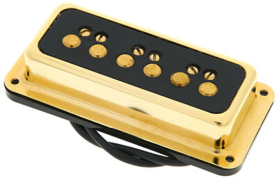 Dynasonic Gold Black Bridge