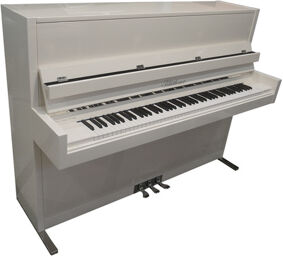 Model D white Blanc poli