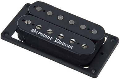 Black Winter Bridge Trem