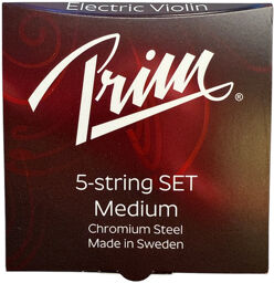 Electric Violin 5-String Set