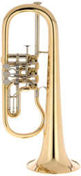 BZ-Series Bb-Flugelh. G88 raw