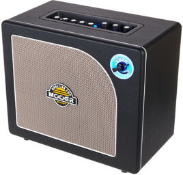 Hornet Black 30W Modeling Amp