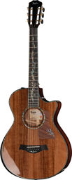 PS12ce 12 Fret Honduran RW Naturel haute brillance