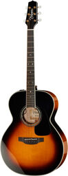 P6N-BSB w/Softcase Braun Sunburst