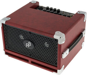 BG-110 Bass Cub Combo