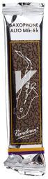 V12 Alto Saxophone 3.0