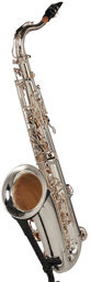 TTS-580 GS Tenor Sax