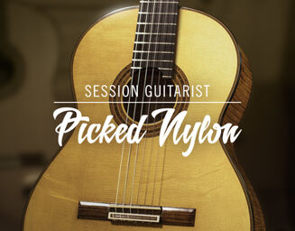 Session Guit. - Picked Nylon