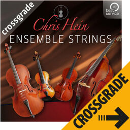 Chris Hein Ensemble Strings CG