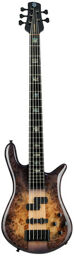 Euro 5 CST Nat Violet Burst Black