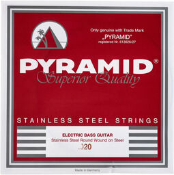020 Single String bass guitar