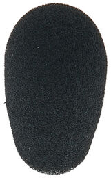 WS20 noir