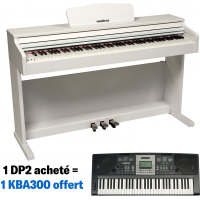 DP2 Blanc + KBA300