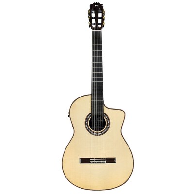 Luthier GK Pro Negra Avec Étui