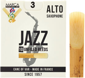 Jazz Alto Saxophone 3.0