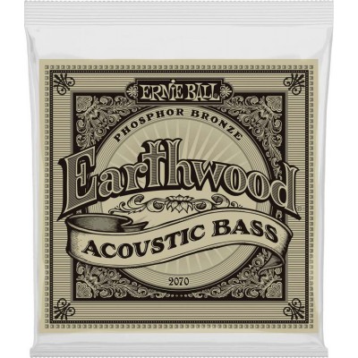 2070 Earthwood Acoustic Bass 45-95