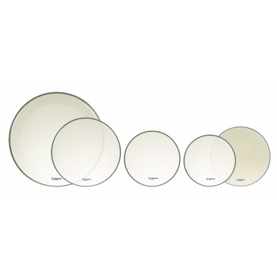 12/13/16/14/22 Alverstone Transparente Standard Pack
