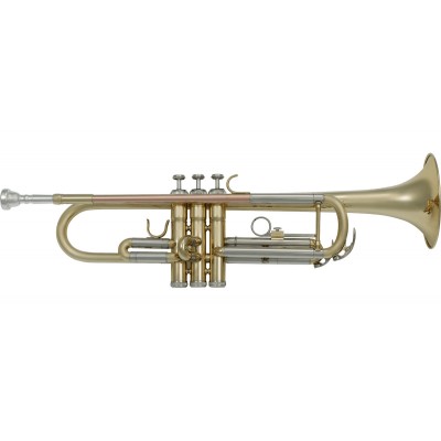 TP300 - Sib Vernie