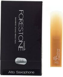 Alto Saxophone MS