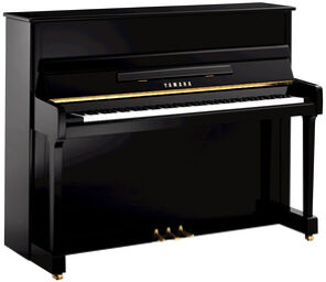 P 116 M PE Upright Piano Noir haute brillance