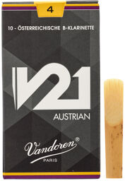 V21 Austrian 4.0