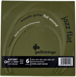 AJF1047 Acoustic Guitar Str.
