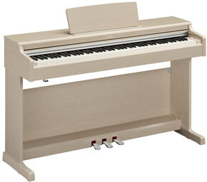 YDP-165 WA Arius Frêne blanc