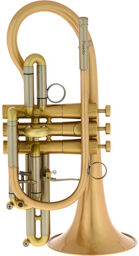 Praedo Bb-Cornet