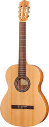 Z Nature incl.Gig Bag Naturel