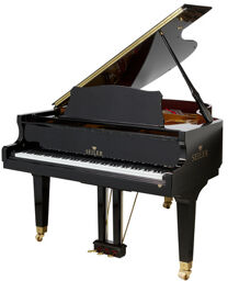 170 Professional Grand Piano Black polished