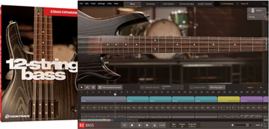 EBX 12-String Bass