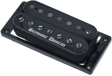 Black Winter 7-String Bridge