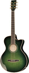 A-50 Custom Greenburst Greenburst
