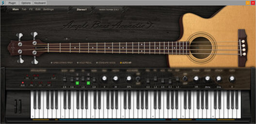 Ample Bass Acoustic v4